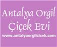 Orgil Çiçekevi Organizasyon - Antalya